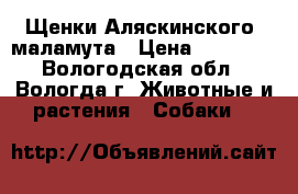 Щенки Аляскинского  маламута › Цена ­ 30 000 - Вологодская обл., Вологда г. Животные и растения » Собаки   